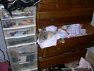 DSCN7264.JPG
