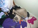 DSCN7327.JPG