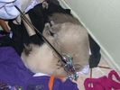 DSCN7328.JPG