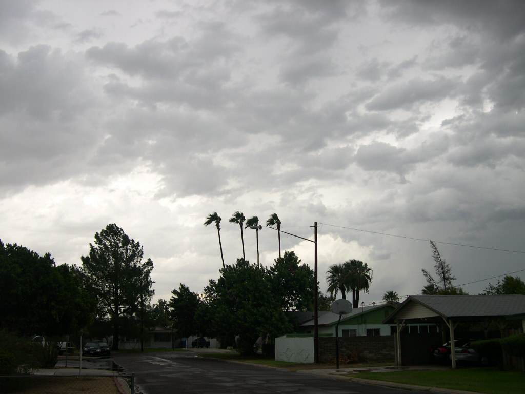 DSCN4724.JPG