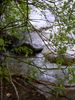 DSCN8293.JPG