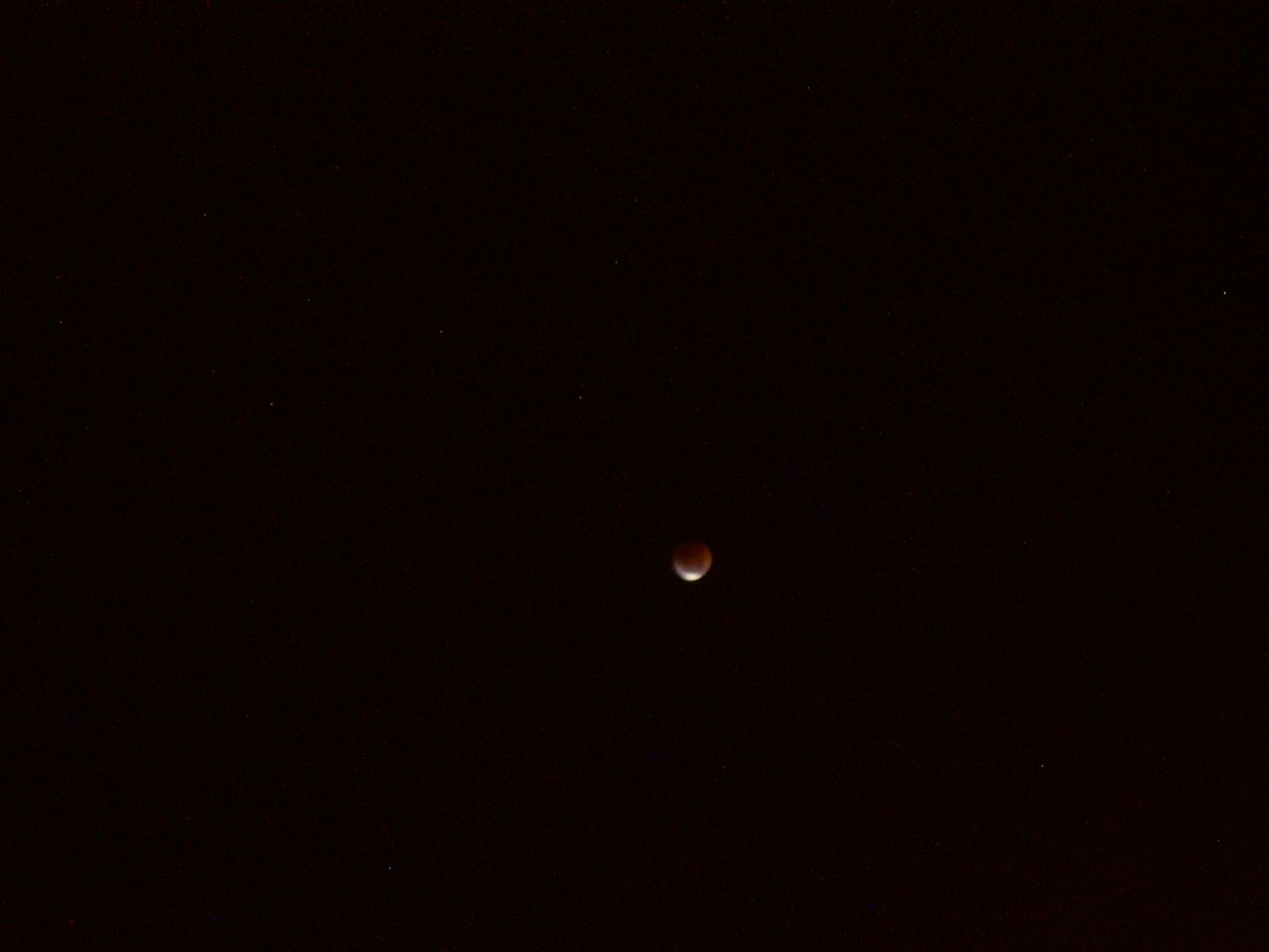 DSCN8505.JPG