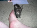 DSCN9393.JPG