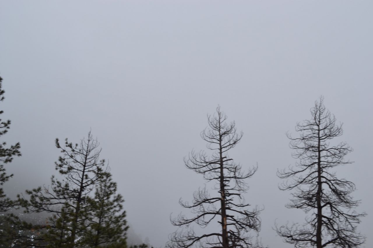DSC_3795.jpg