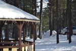 Filename=DSC_3665.jpg
Filesize=582KiB
Dimensions=2000x1333
Date added=Mar 18, 2016 DSC_3665.jpg