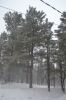 Filename=DSC_3742.jpg
Filesize=815KiB
Dimensions=1333x2000
Date added=Mar 18, 2016 DSC_3742.jpg