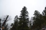 Filename=DSC_3808.jpg
Filesize=614KiB
Dimensions=2000x1333
Date added=Mar 18, 2016 DSC_3808.jpg