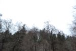 Filename=DSC_3826.jpg
Filesize=519KiB
Dimensions=2000x1333
Date added=Mar 18, 2016 DSC_3826.jpg