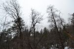 Filename=DSC_3832.jpg
Filesize=688KiB
Dimensions=2000x1333
Date added=Mar 18, 2016 DSC_3832.jpg