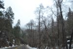 Filename=DSC_3842.jpg
Filesize=715KiB
Dimensions=2000x1333
Date added=Mar 18, 2016 DSC_3842.jpg