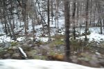 Filename=DSC_3843.jpg
Filesize=726KiB
Dimensions=2000x1333
Date added=Mar 18, 2016 DSC_3843.jpg