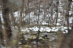 Filename=DSC_3844.jpg
Filesize=747KiB
Dimensions=2000x1333
Date added=Mar 18, 2016 DSC_3844.jpg
