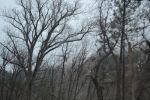 Filename=DSC_3850.jpg
Filesize=744KiB
Dimensions=2000x1333
Date added=Mar 18, 2016 DSC_3850.jpg