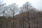 Filename=DSC_3857.jpg
Filesize=723KiB
Dimensions=2000x1333
Date added=Mar 18, 2016 DSC_3857.jpg