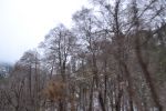 Filename=DSC_3860.jpg
Filesize=815KiB
Dimensions=2000x1333
Date added=Mar 18, 2016 DSC_3860.jpg