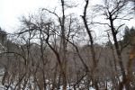 Filename=DSC_3876.jpg
Filesize=976KiB
Dimensions=2000x1333
Date added=Mar 18, 2016 DSC_3876.jpg