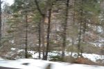 Filename=DSC_3895.jpg
Filesize=716KiB
Dimensions=2000x1333
Date added=Mar 18, 2016 DSC_3895.jpg