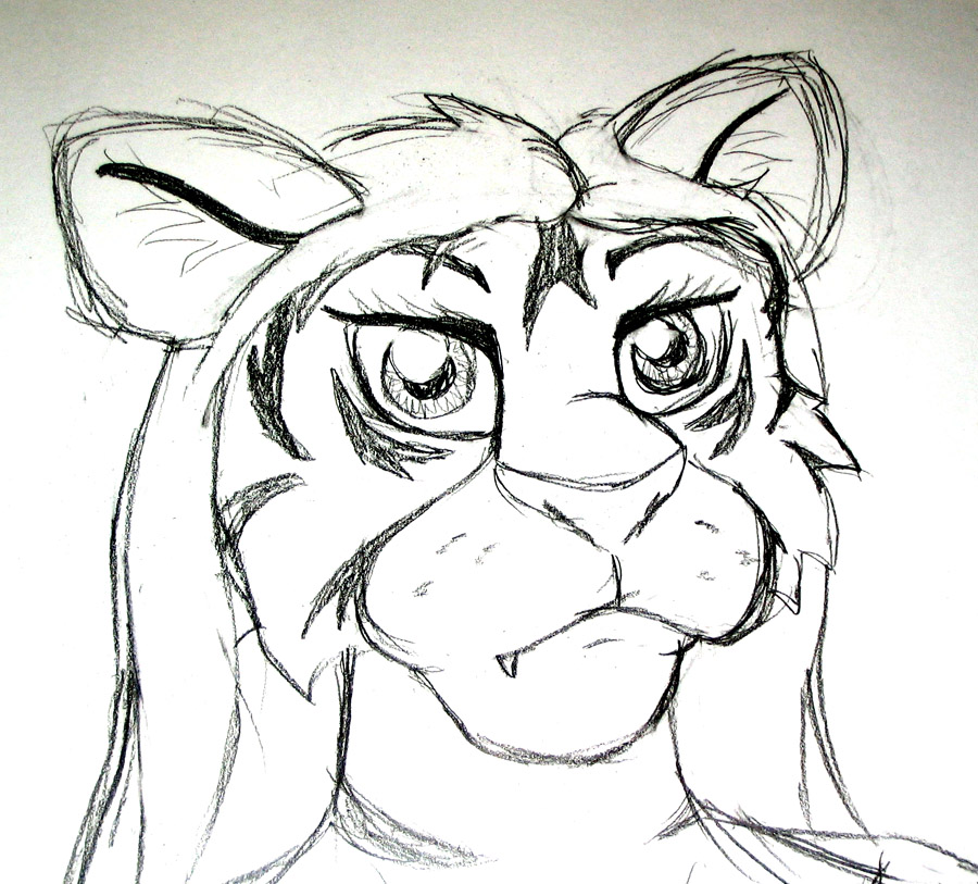 Samiitiger pencil test sketch
