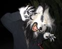 Filename=halloween07.jpg
Filesize=161KiB
Dimensions=900x727
Date added=Nov 14, 2007 halloween07.jpg